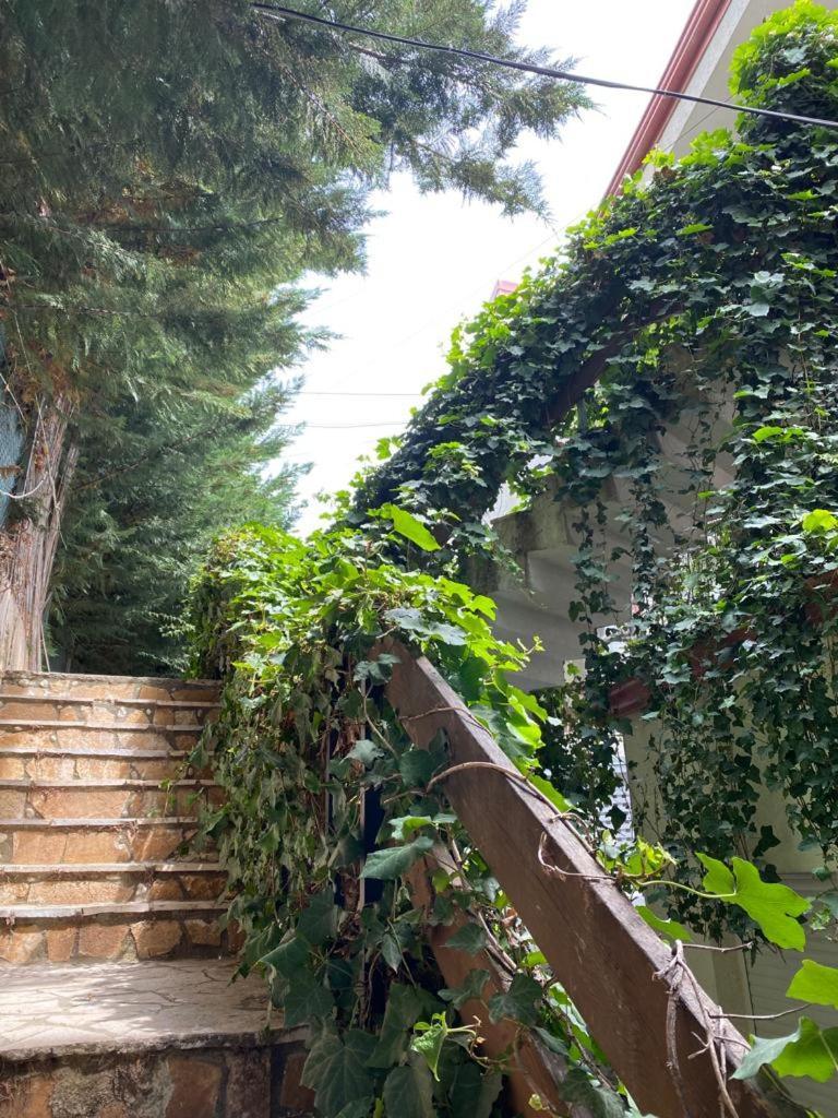 The Olives Terrace Residences Dhërmi Exterior foto